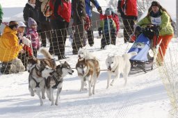Lenk 2012 SM